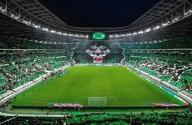 广州登革热病例激增